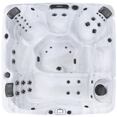 Avalon-X EC-840LX hot tubs for sale in Newport News